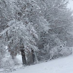 Meet your Posher, Tanya